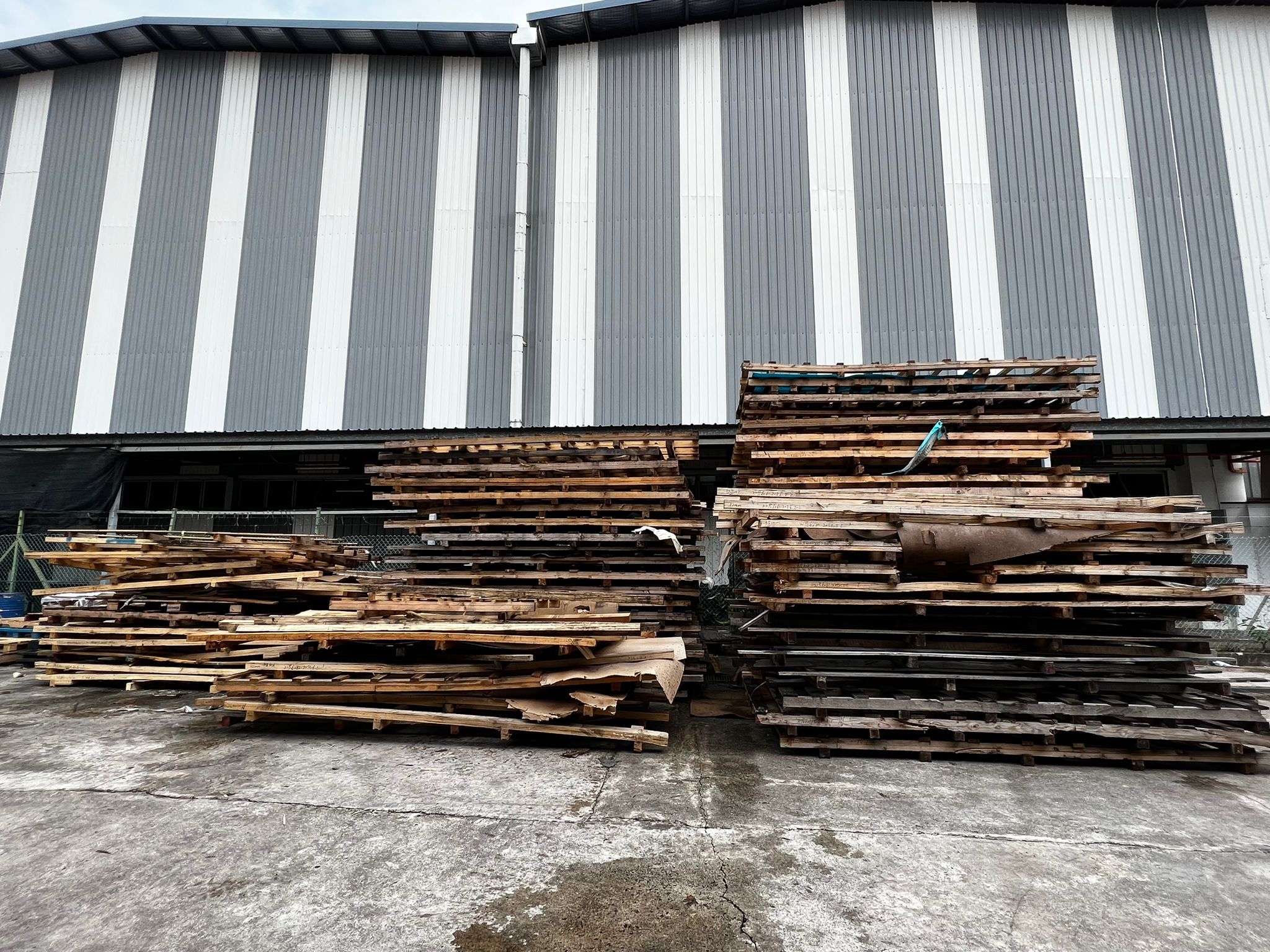 Large stacks of timber pallets and crates outside a commercial site, staged for same-day debris removal.